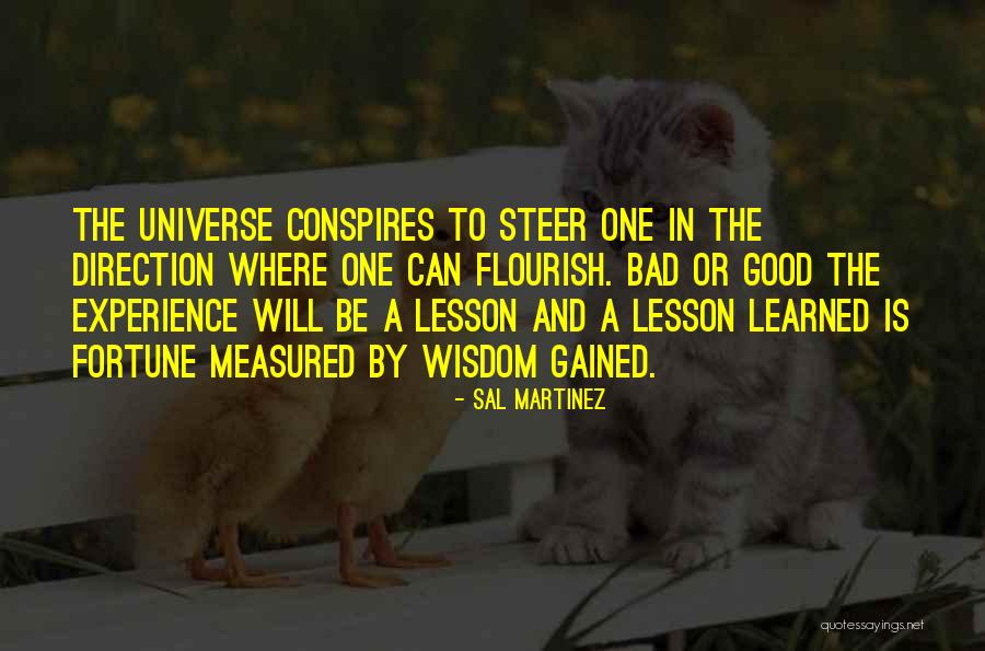 Experience Gained Quotes By Sal Martinez Experience Gained Quotes By Sal Martinez