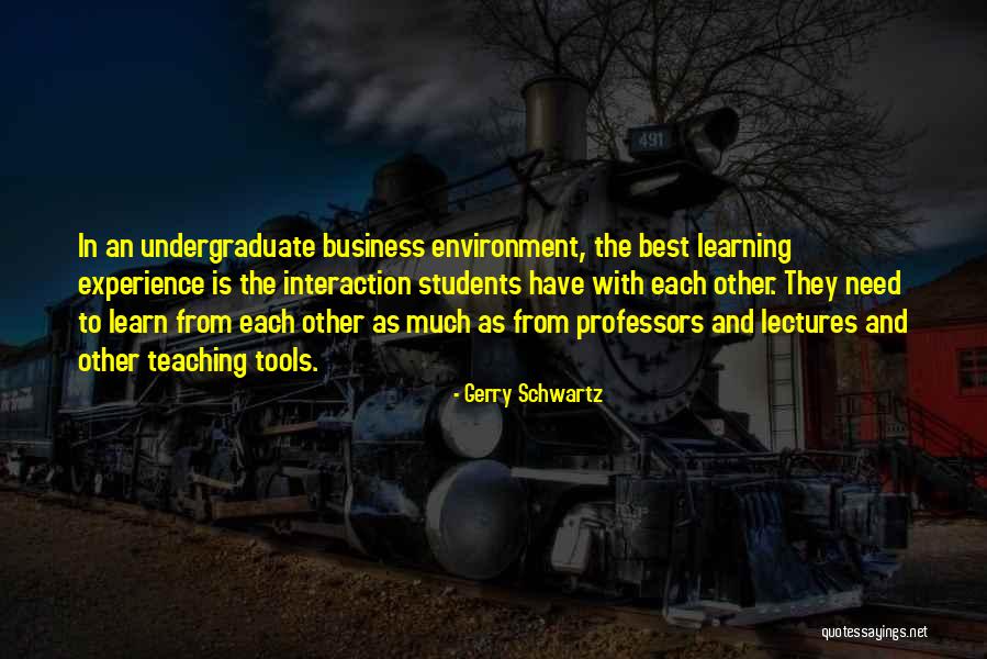 Experience In Business Quotes By Gerry Schwartz