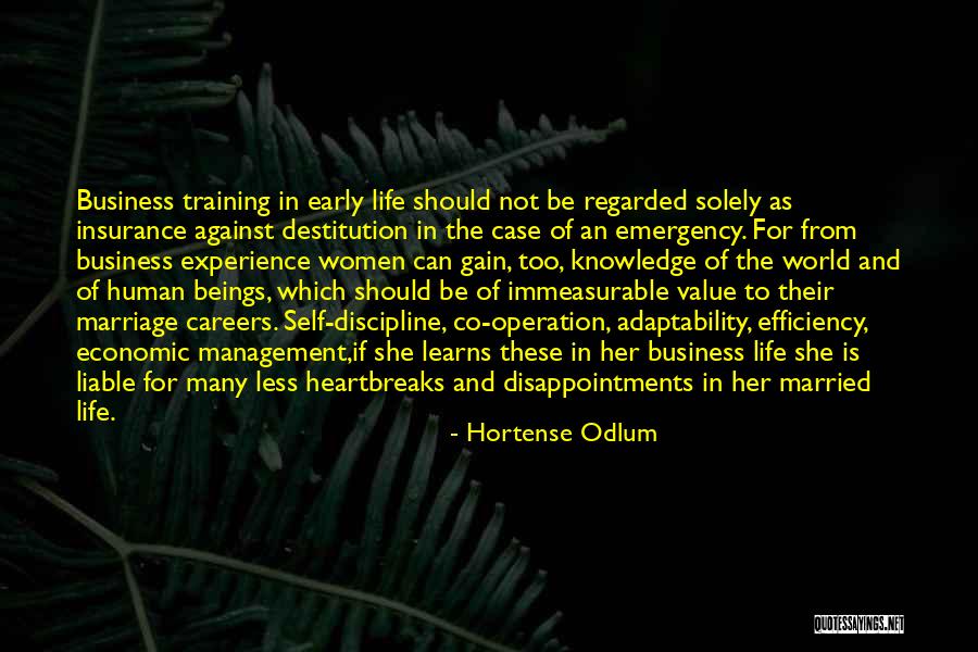 Experience In Business Quotes By Hortense Odlum