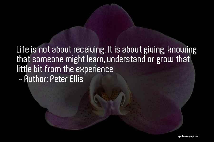 Experience In Business Quotes By Peter Ellis