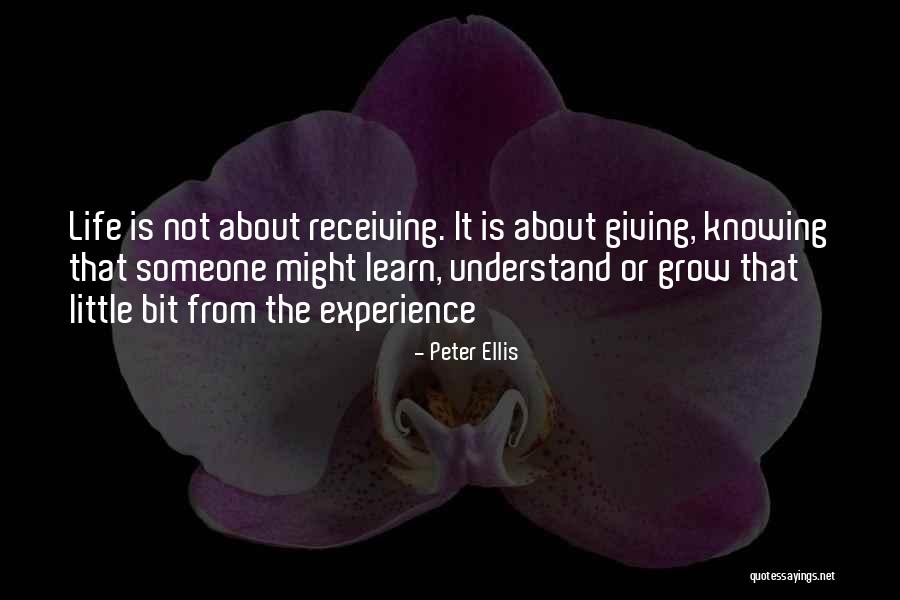 Experience In Business Quotes By Peter Ellis