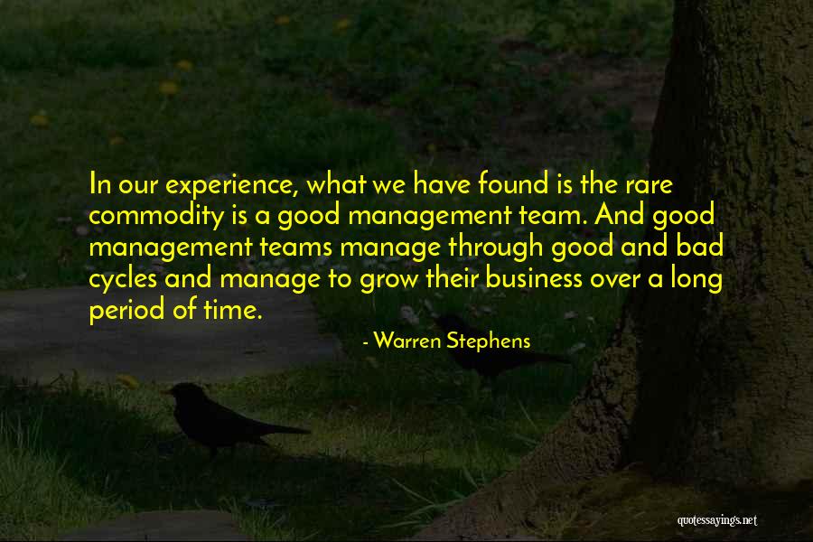 Experience In Business Quotes By Warren Stephens