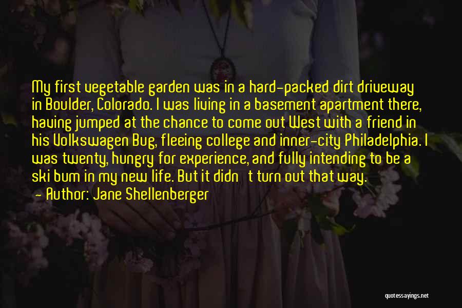 Experience In College Quotes By Jane Shellenberger