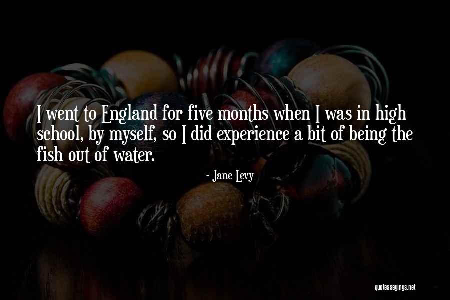 Experience In High School Quotes By Jane Levy Experience In High School Quotes By Jane Levy