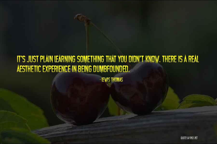 Experience In Learning Quotes By Lewis Thomas Experience In Learning Quotes By Lewis Thomas