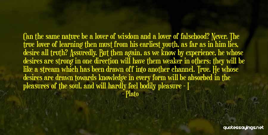 Experience In Learning Quotes By Plato Experience In Learning Quotes By Plato