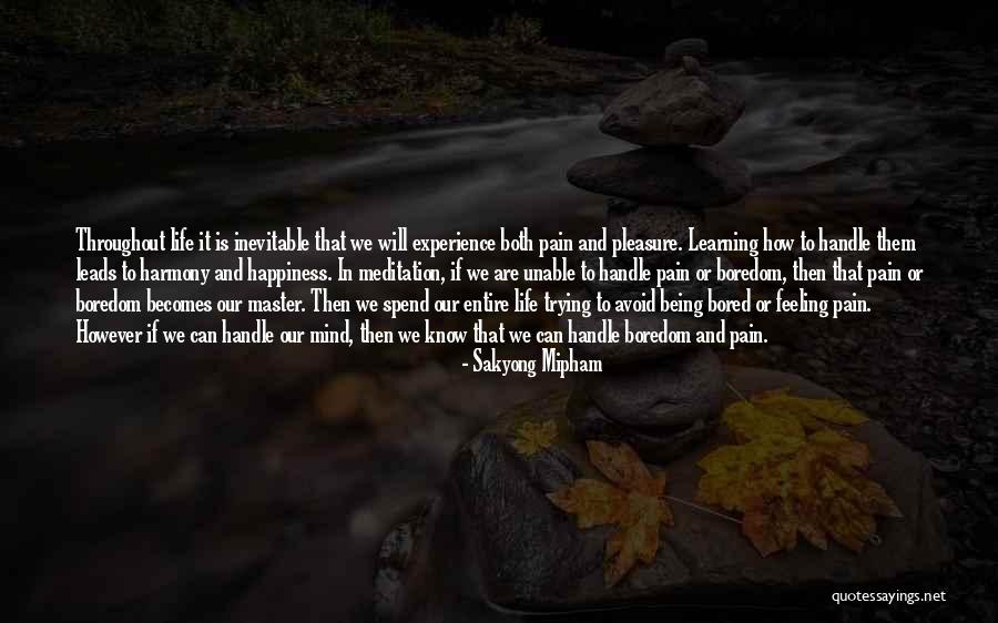 Experience In Learning Quotes By Sakyong Mipham Experience In Learning Quotes By Sakyong Mipham