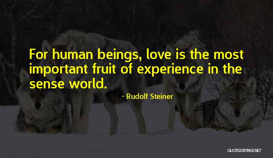 Experience Is Important Quotes By Rudolf Steiner Experience Is Important Quotes By Rudolf Steiner