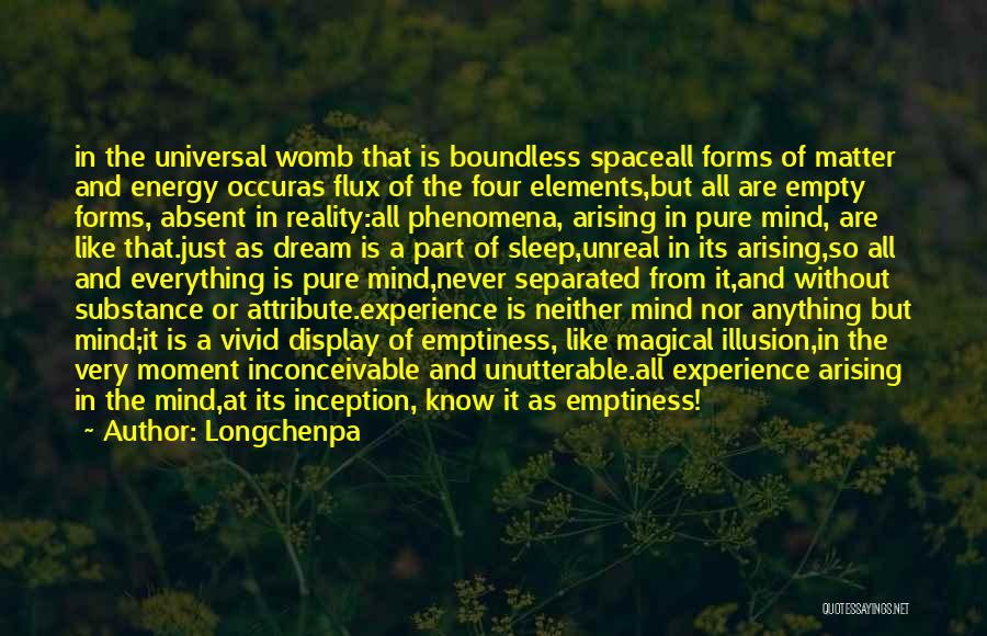 Experience Is Like Quotes By Longchenpa
