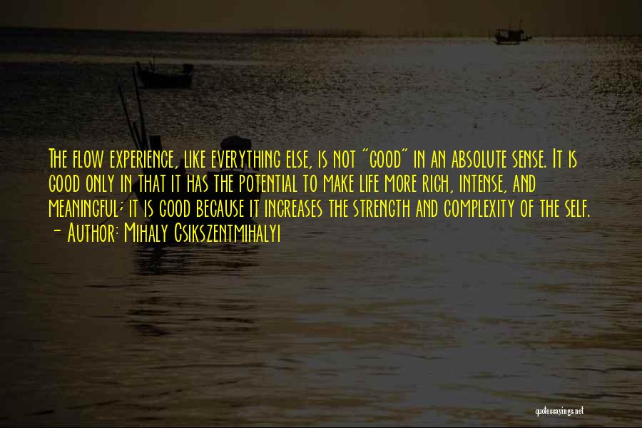 Experience Is Like Quotes By Mihaly Csikszentmihalyi