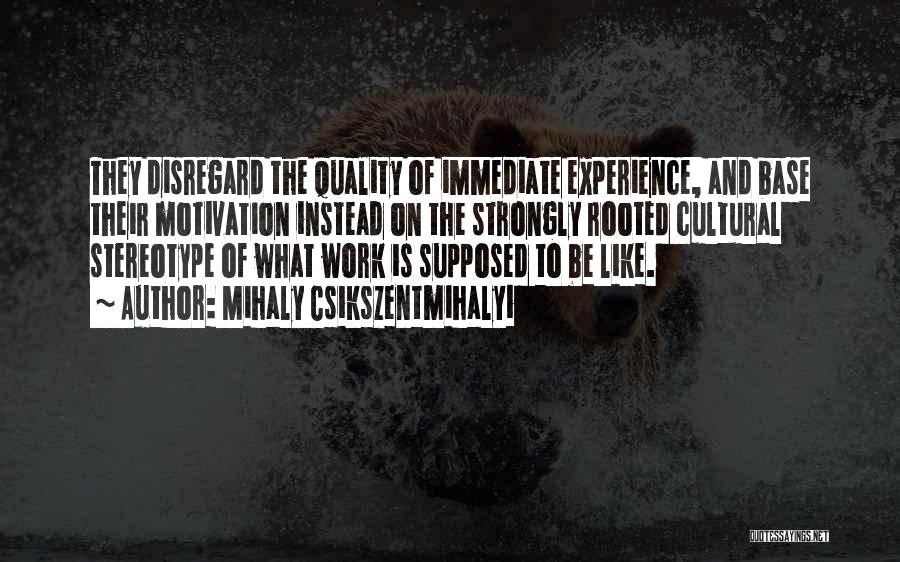 Experience Is Like Quotes By Mihaly Csikszentmihalyi