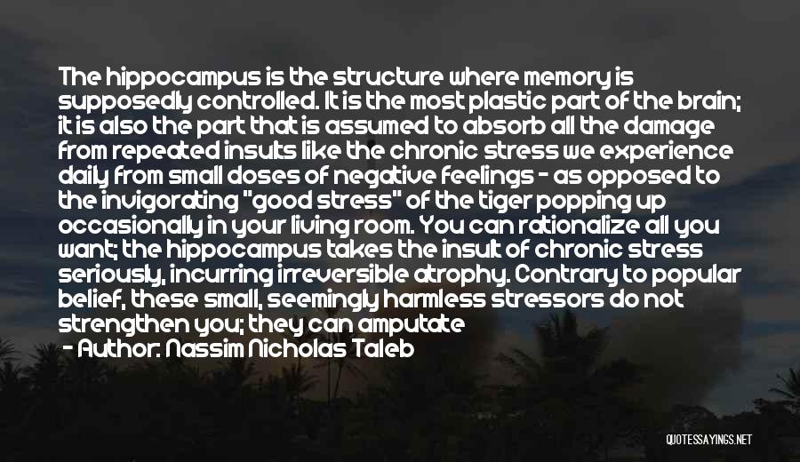 Experience Is Like Quotes By Nassim Nicholas Taleb