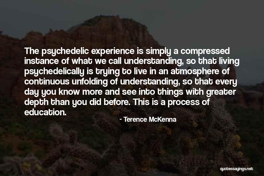 Experience Is The Best Education Quotes By Terence McKenna