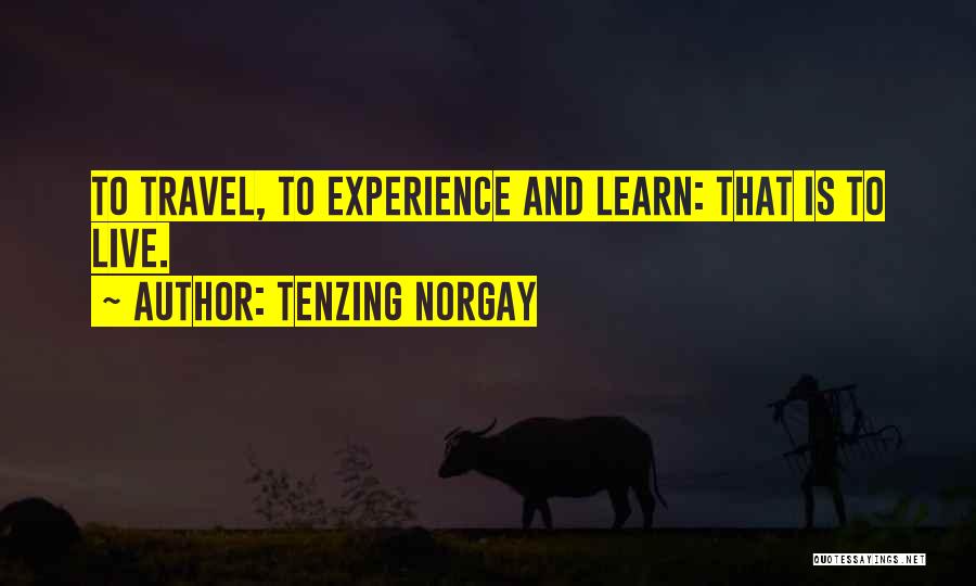 Experience Is The Best Way To Learn Quotes By Tenzing Norgay