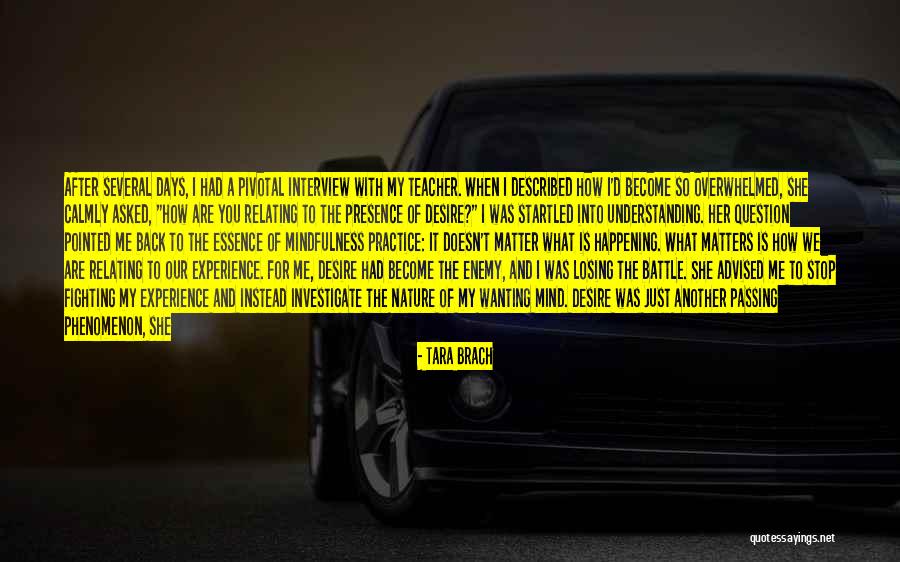 Experience Is The Teacher Quotes By Tara Brach Experience Is The Teacher Quotes By Tara Brach