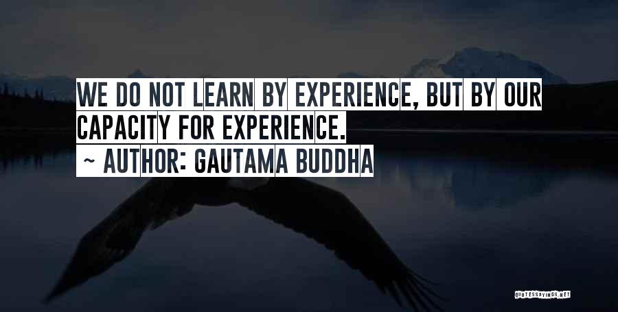Experience Learn Quotes By Gautama Buddha