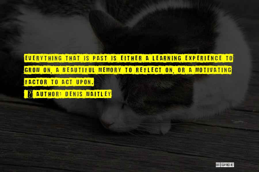 Experience Learning Quotes By Denis Waitley