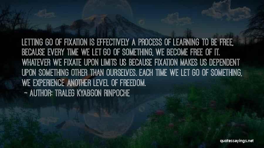 Experience Learning Quotes By Traleg Kyabgon Rinpoche