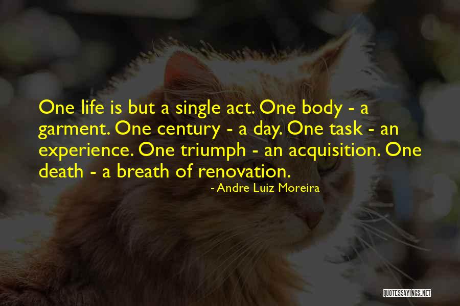 Experience Life Quotes By Andre Luiz Moreira