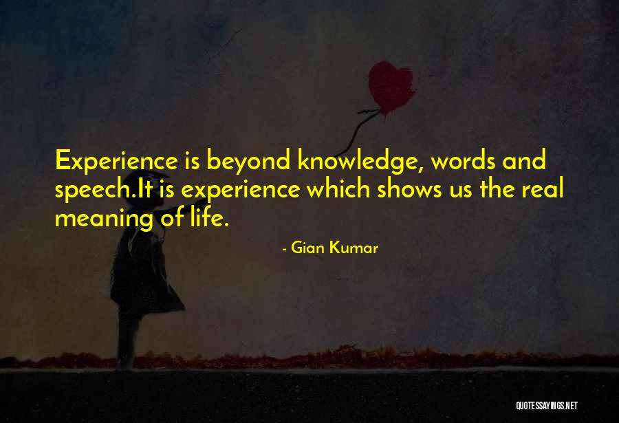 Experience Life Quotes By Gian Kumar