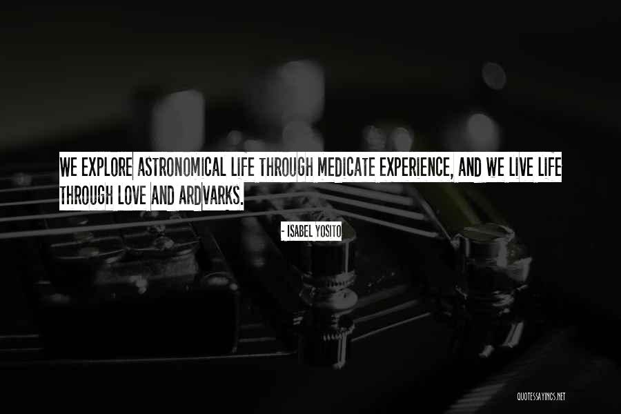 Experience Life Quotes By Isabel Yosito