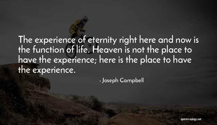 Experience Life Quotes By Joseph Campbell