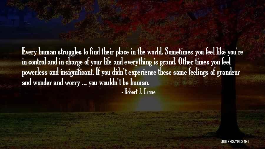 Experience Life Quotes By Robert J. Crane