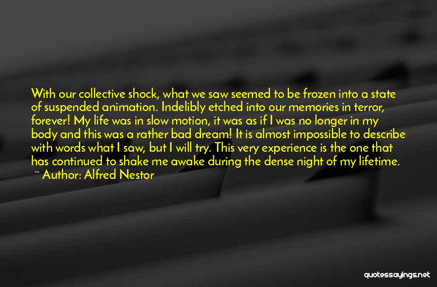Experience Of A Lifetime Quotes By Alfred Nestor