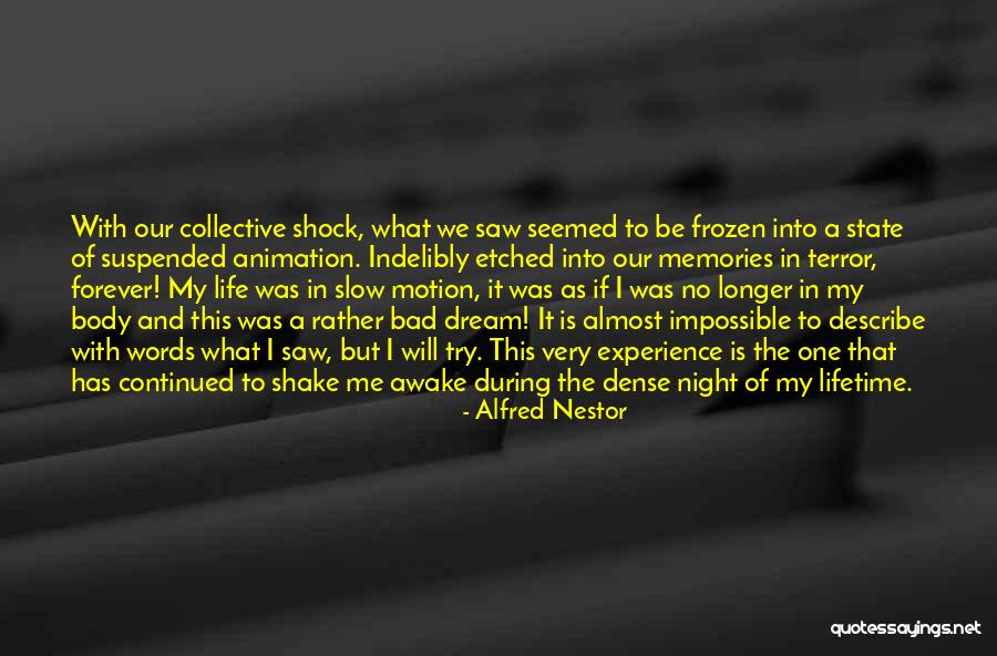 Experience Of A Lifetime Quotes By Alfred Nestor