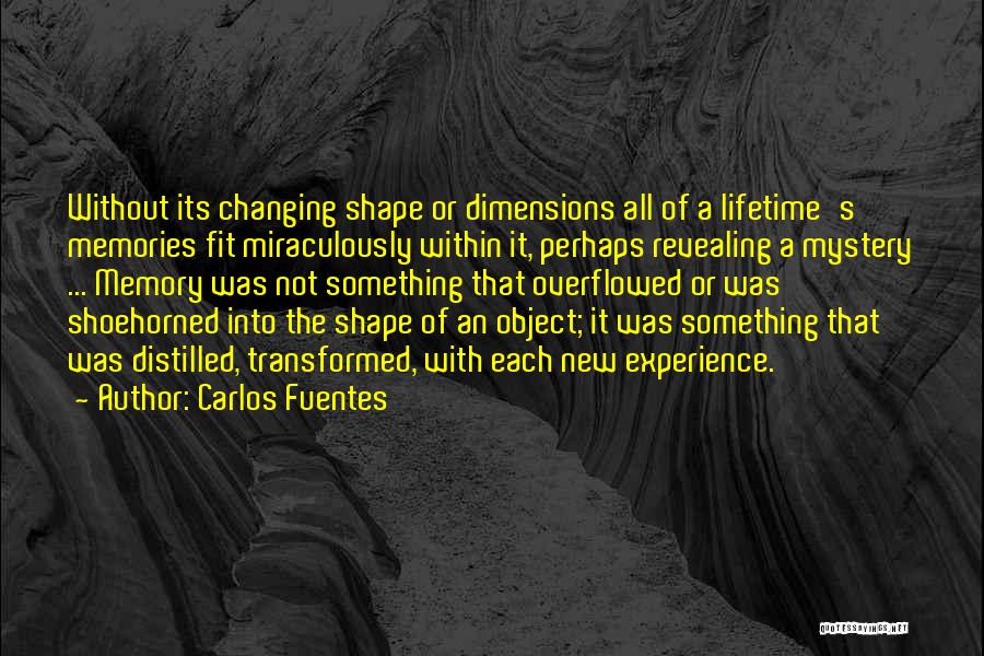 Experience Of A Lifetime Quotes By Carlos Fuentes
