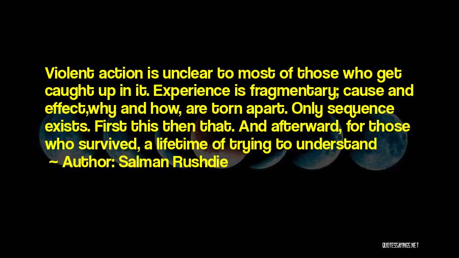 Experience Of A Lifetime Quotes By Salman Rushdie