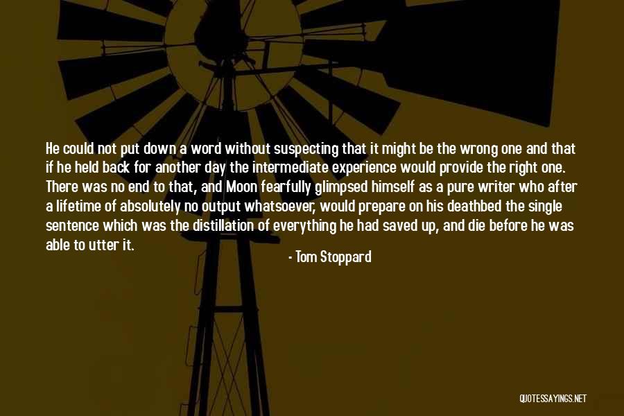 Experience Of A Lifetime Quotes By Tom Stoppard Experience Of A Lifetime Quotes By Tom Stoppard