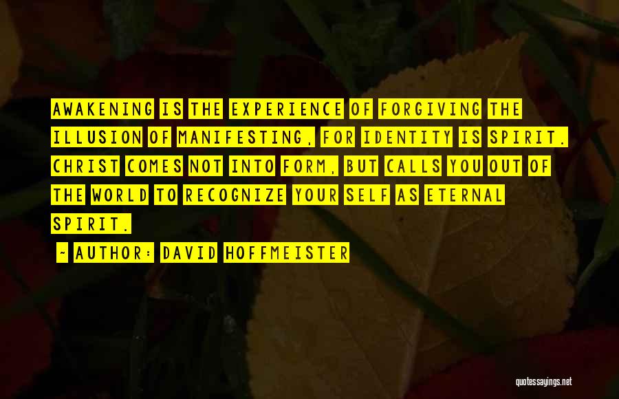 Experience Of Christ Quotes By David Hoffmeister