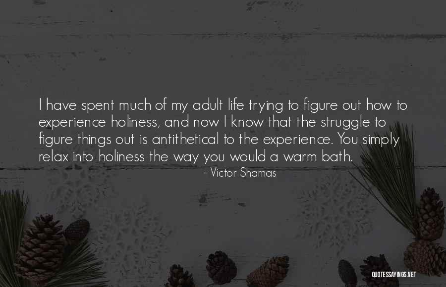 Experience Of Enlightenment Quotes By Victor Shamas Experience Of Enlightenment Quotes By Victor Shamas