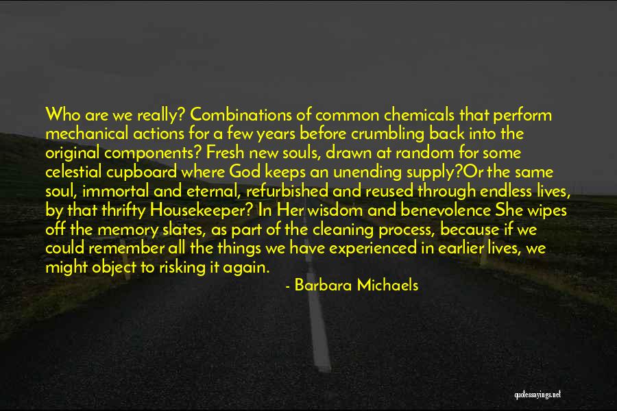 Experience Or Experienced Quotes By Barbara Michaels Experience Or Experienced Quotes By Barbara Michaels