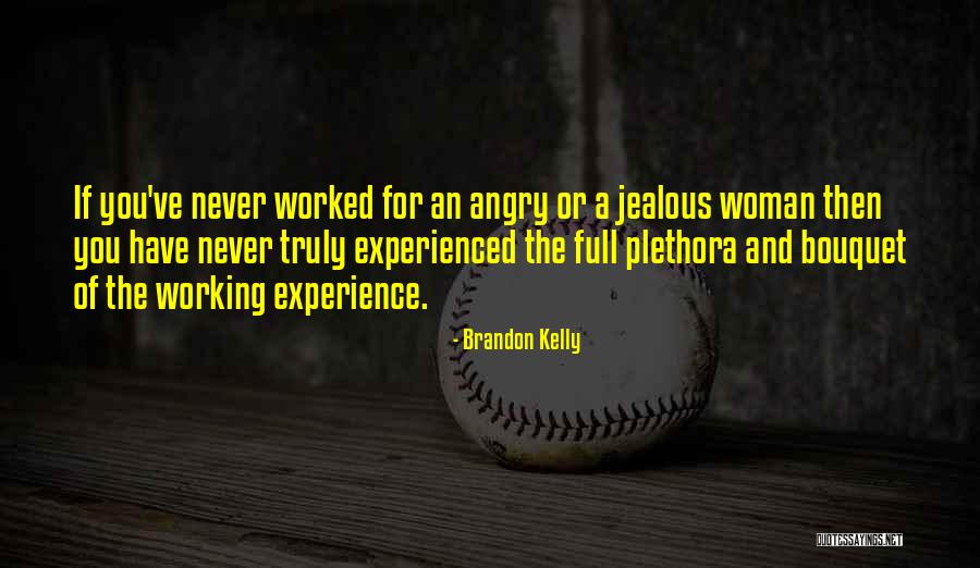 Experience Or Experienced Quotes By Brandon Kelly Experience Or Experienced Quotes By Brandon Kelly
