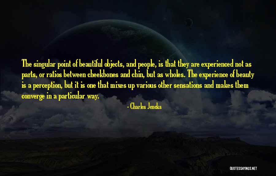 Experience Or Experienced Quotes By Charles Jencks Experience Or Experienced Quotes By Charles Jencks