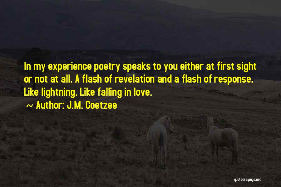 Experience Speaks Quotes By J.M. Coetzee