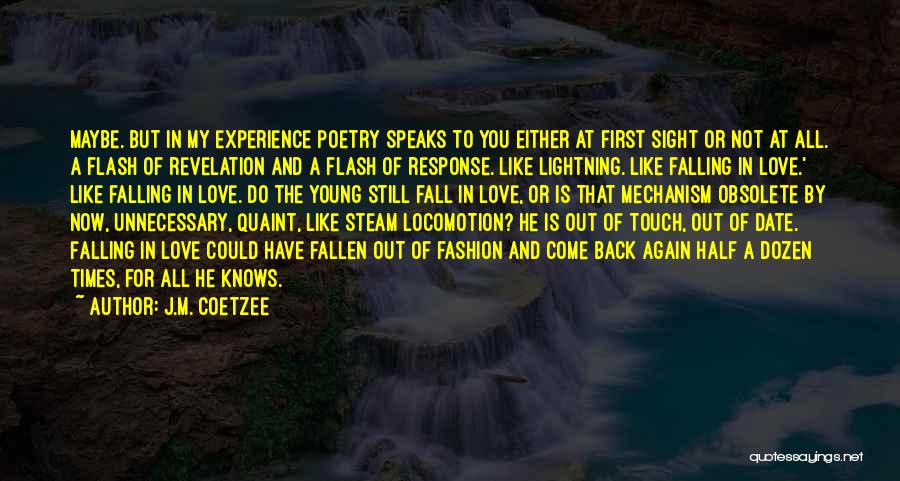 Experience Speaks Quotes By J.M. Coetzee