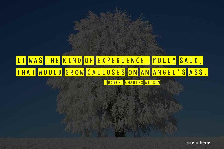 Experience That Will Get All With Robert Quotes By Robert Charles Wilson Experience That Will Get All With Robert Quotes By Robert Charles Wilson
