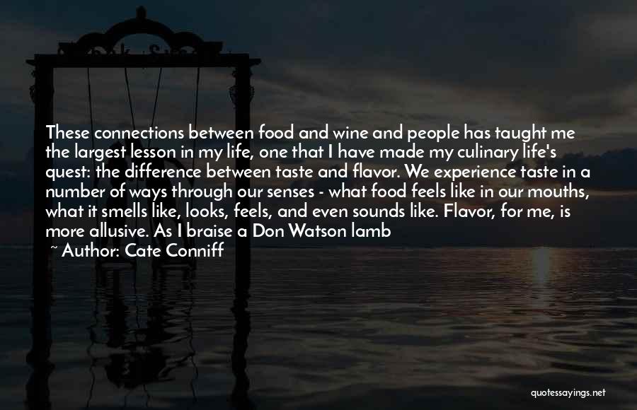 Experience The Difference Quotes By Cate Conniff