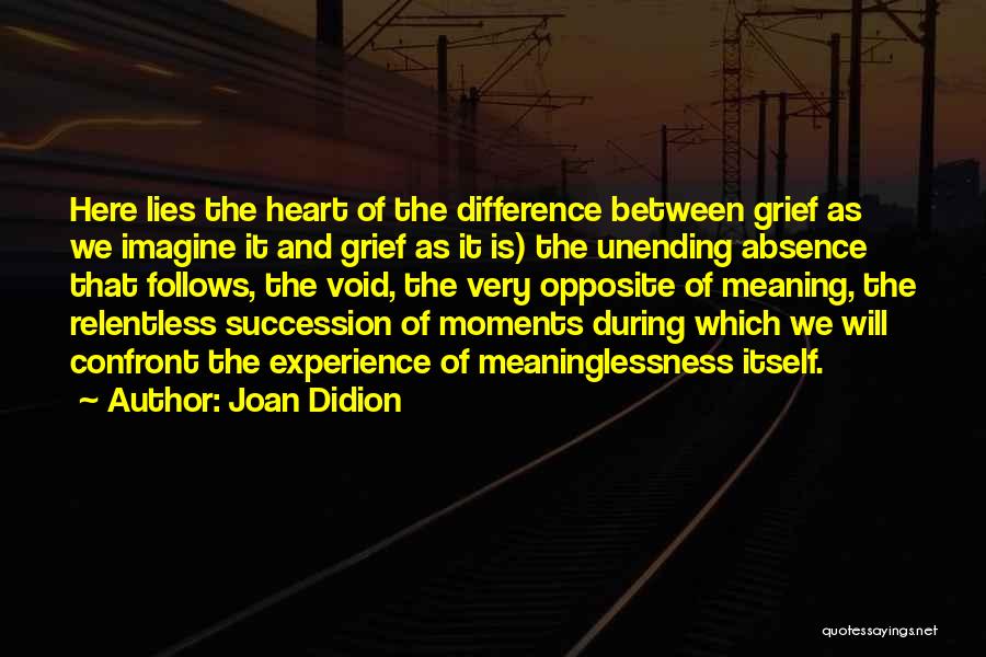 Experience The Difference Quotes By Joan Didion