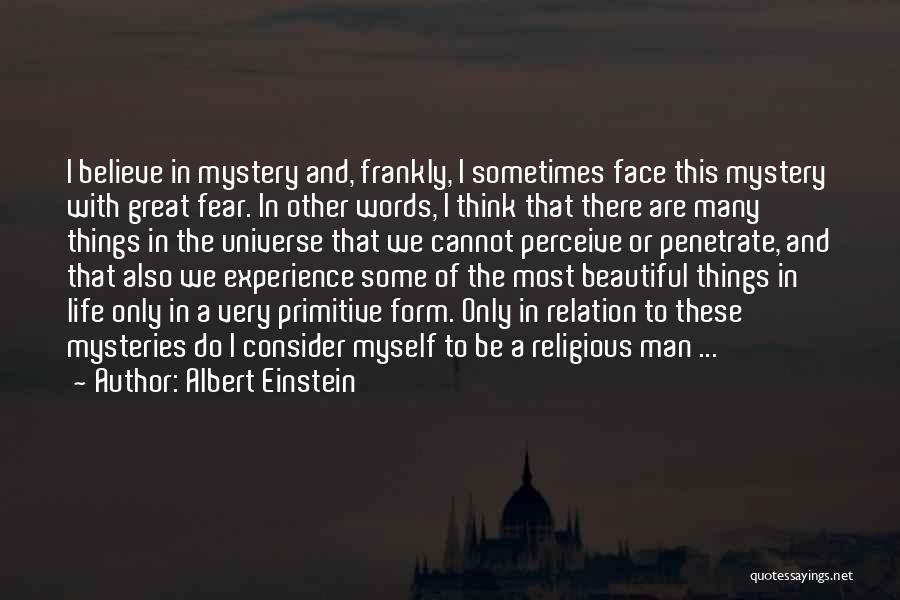 Experience The Things Quotes By Albert Einstein