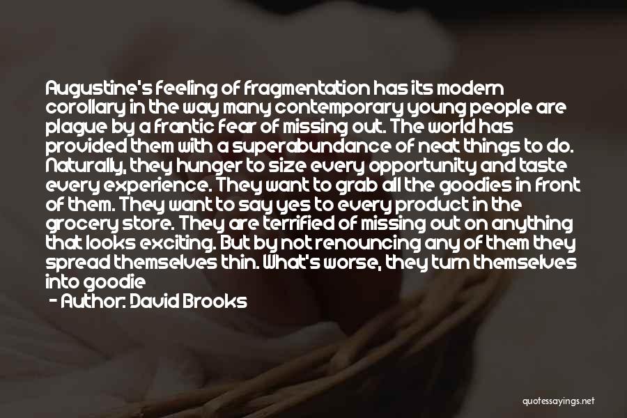 Experience The Things Quotes By David Brooks