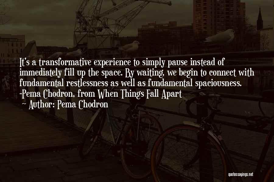 Experience The Things Quotes By Pema Chodron