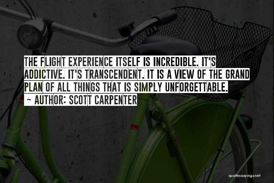 Experience The Things Quotes By Scott Carpenter