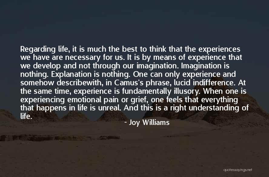 Experience With Explanation Quotes By Joy Williams Experience With Explanation Quotes By Joy Williams