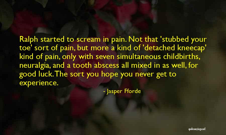 Experience With Quotes By Jasper Fforde Experience With Quotes By Jasper Fforde