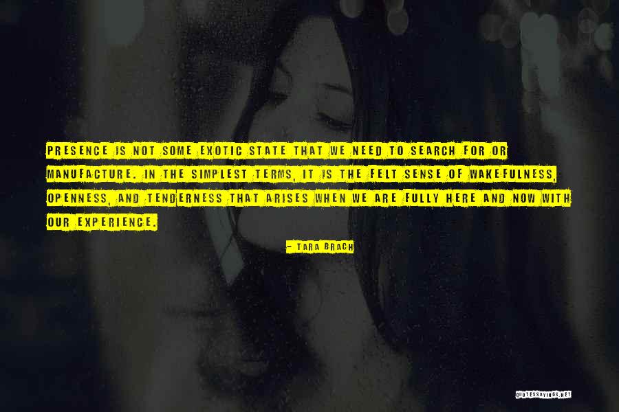 Experience With Quotes By Tara Brach Experience With Quotes By Tara Brach