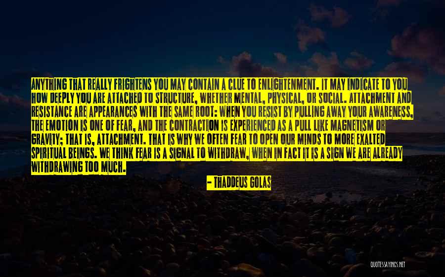 Experienced Fact Quotes By Thaddeus Golas Experienced Fact Quotes By Thaddeus Golas